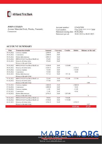 Realistic Cameroon Afriland First bank statement sample
